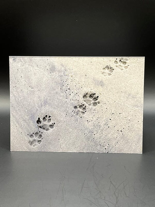 Paw Prints In Sand - Pet Sympathy Card Pet Sympathy Card Pets Memories Forever 