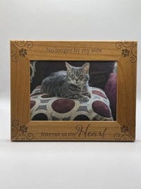 Pet Memorial Picture Frame No Longer By My Side Pet Memory Frame Pets Memories Forever 